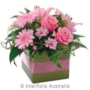 Mini Box Pink Flowers Florist Mackay Mini Box Pink Flowers Florist Mackay